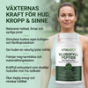 Vitanect Chlorophyll Peptide